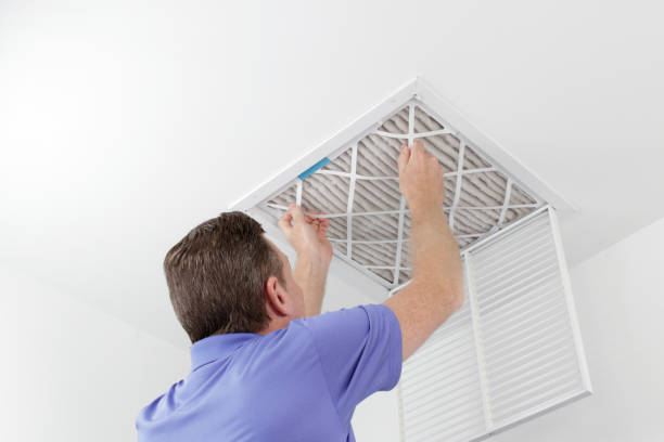Air Duct Mold Removal in UT